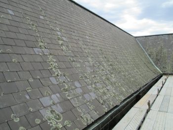 Melbourne slate roof experts